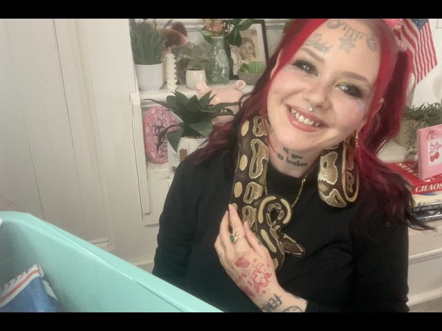 Meet Marvin! He Is A Ball Python & A Perfect Gentleman!