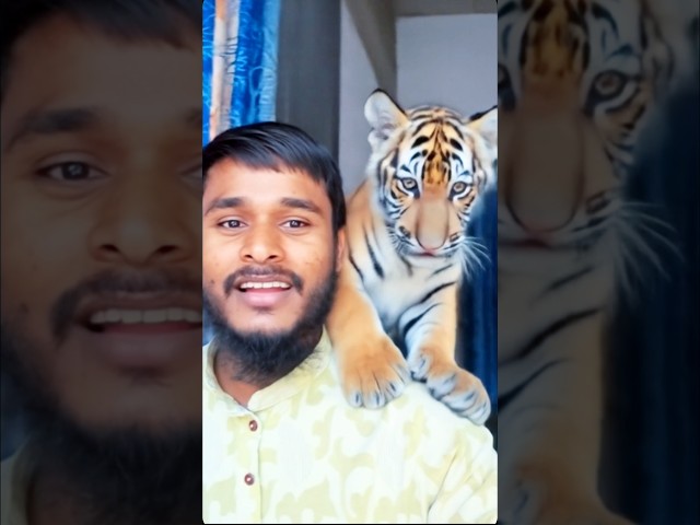 Tiger leopard leap filter 🐅😱 #magic #filter #shorts #viral #tutorial #ai
