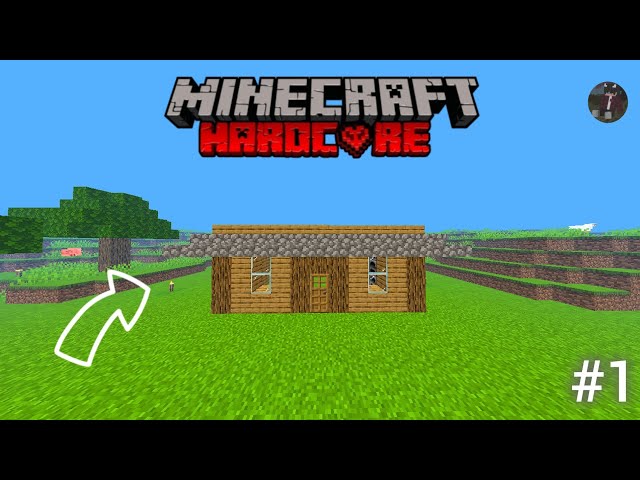 My First House in Hardcore Minecraft!🤏😅