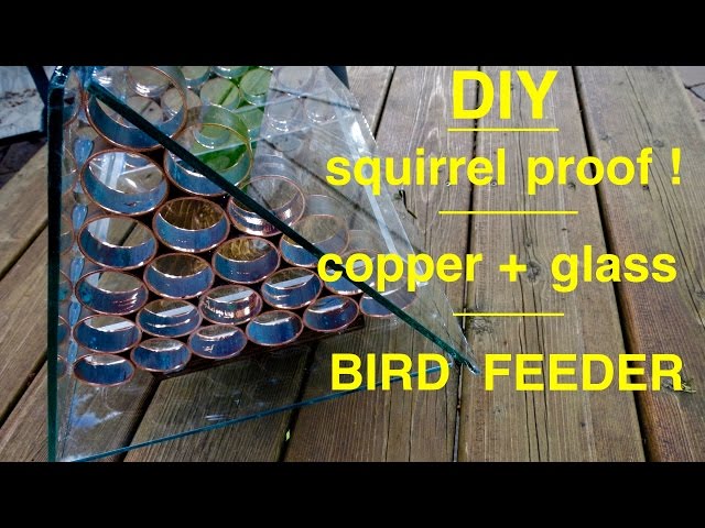 How to make ● a  SQUIRREL PROOF  Bird Feeder