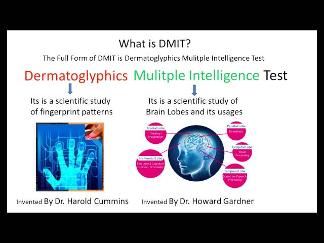 What is DMIT Test, Dermatoglyphics Multiple Intelligence Test