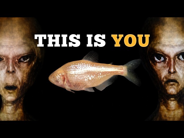 Is AI Making Humans ███████?
