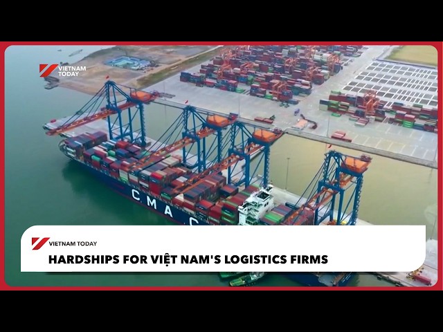 Hardships for Việt Nam's logistics firms | Vietnam Today