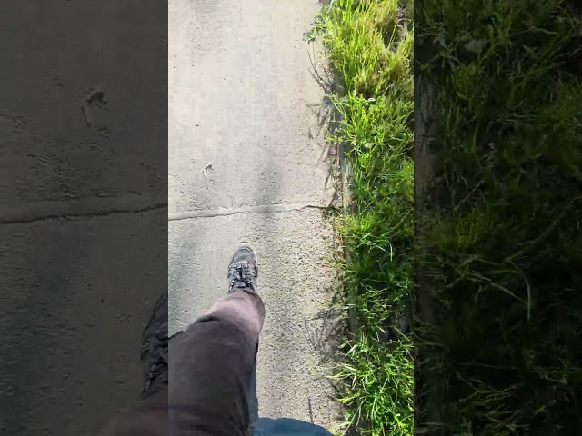 "Missed the Bus Again – Society is the Problem (and So Am I)"