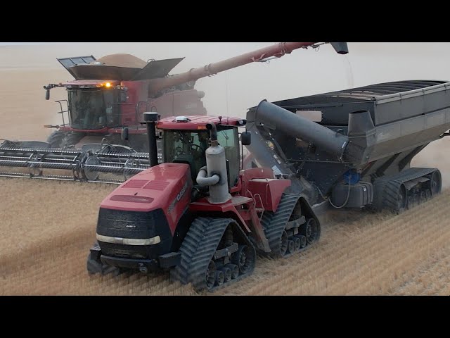 Harvest Days 4 & 5: I LIKE IT!