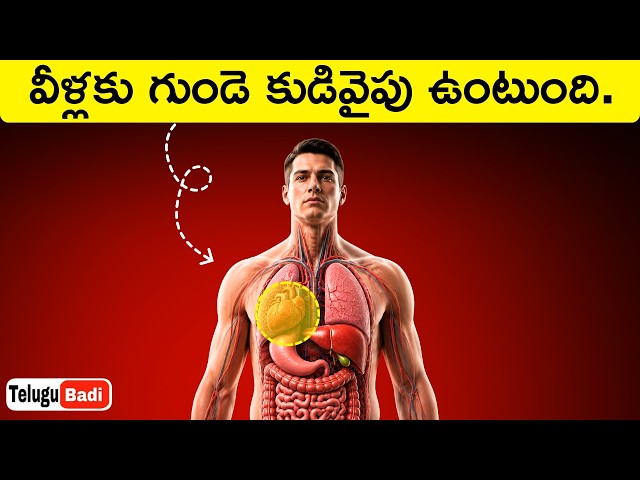 Heart on the Right Side? Top Interesting Facts in Telugu Badi
