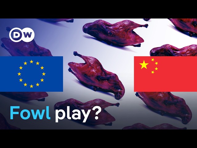 EU targets Peking Duck in dumping probe | DW News