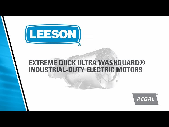 LEESON Extreme Duck Ultra Motor