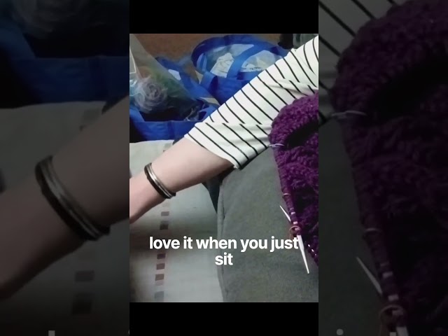 How animals react to singing #knitting #knittingsweater #shortvideo #shortsfeed