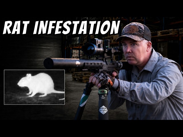 RAT SHOOTING MADNESS | 157 Rats vs a Thermal Sniper