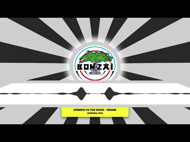 Dimerio vs THE HOOD (BE) - Insane (Original Mix) [Bonzai Records]