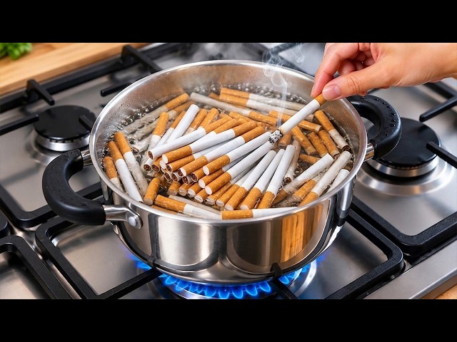 Billions of People Don't Know This Secret... Boil Cigarettes and Earn Dollars!