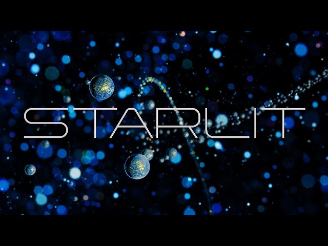 STARLIT I 8K 60FPS HDR I UNIVERSE IN A FISHTANK I #HDR #8K #COLORS