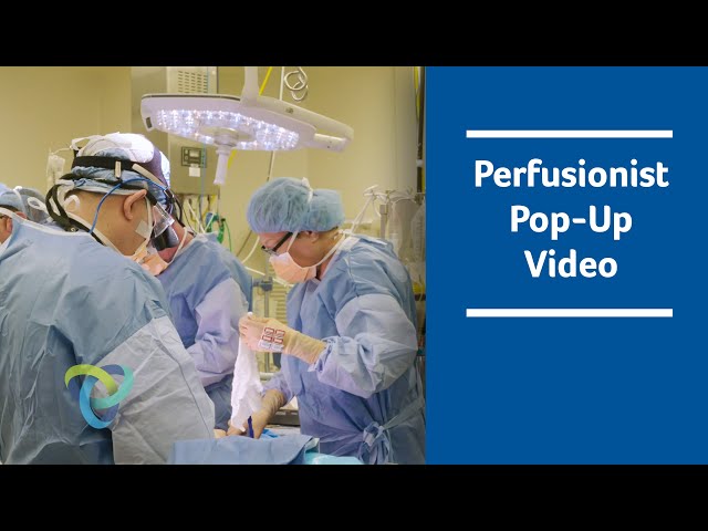 Perfusionist Pop-Up Video