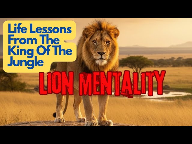 Lion Mentality: Life Lessons from the King of the Jungle [Wisdom Of The Lion]