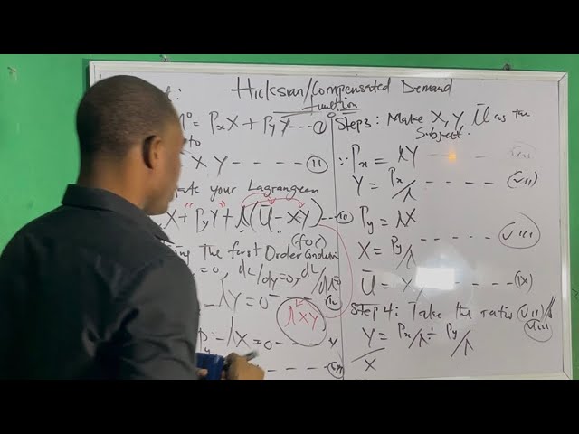 Hicksian (Compensated) Demand Function Explained | Economics Exam Tutorial