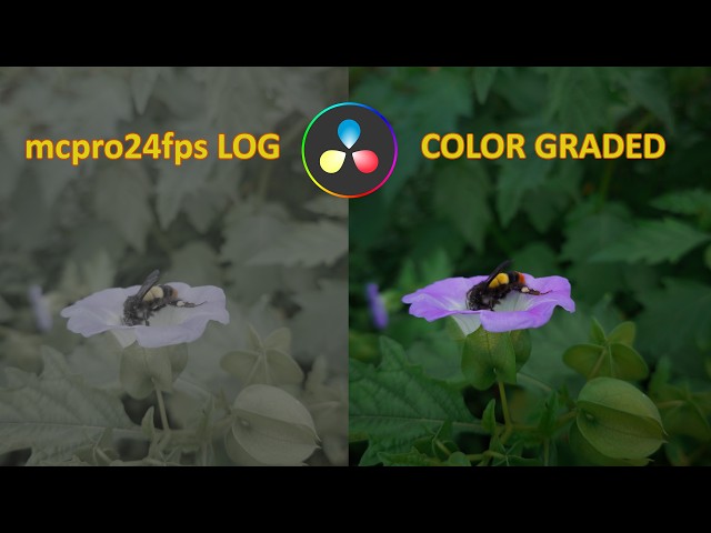 mcPro24fps LOG to Cinematic Color Grade | DaVinci Resolve Tutorial for Beginners