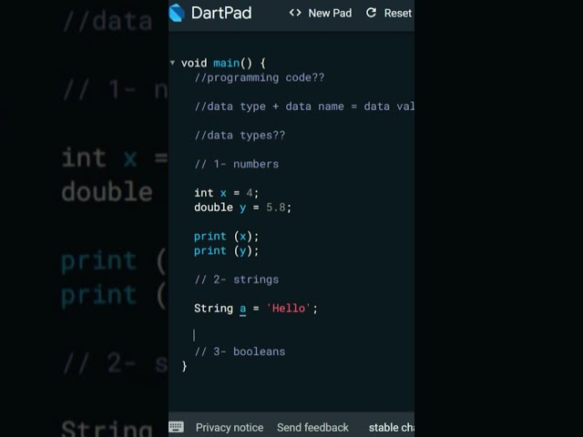 Strings DataType #datatypes #data #dart #programming #language #strings #flutter