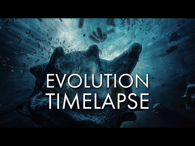 The History of Life On Earth - Cinematic Timelapse