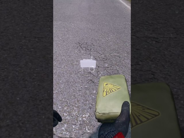 A Perfect DayZ Ambush😳