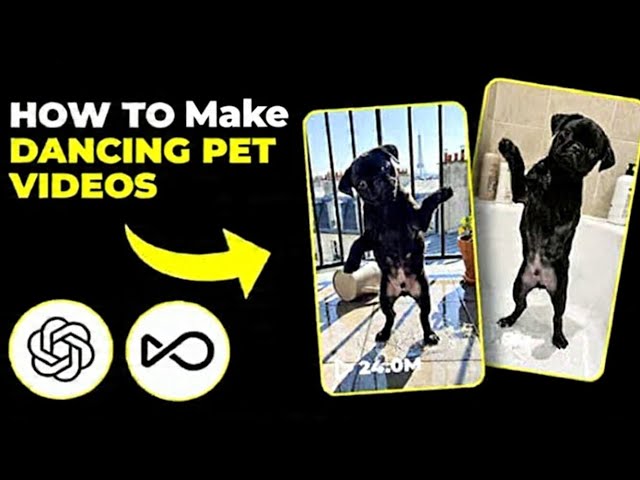 How To Make Dancing Pet Videos (Fast Tutorial) Monetize In 2 Days 