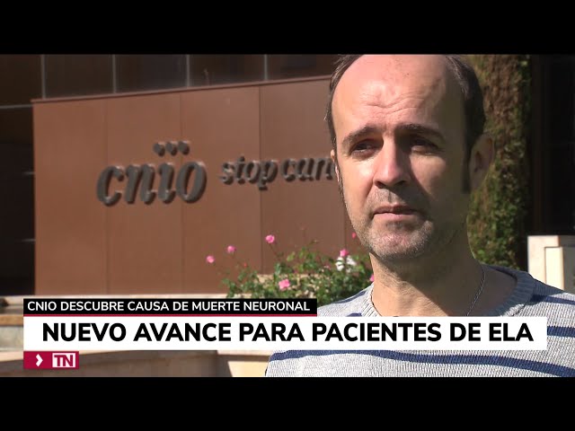 Avance en la lucha contra el ELA: descubren la causa de la muerte neuronal