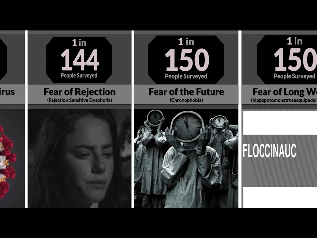 Probability Comparison: Phobias and Fears