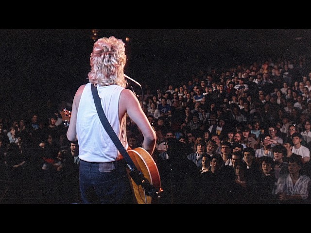 Brian Setzer - Stray Cat Strut (Official Live Performance)