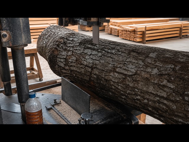 Raw Logs Become Valuable Lumber Through Satisfying Wood Processing 2 Meter Floorboard Production