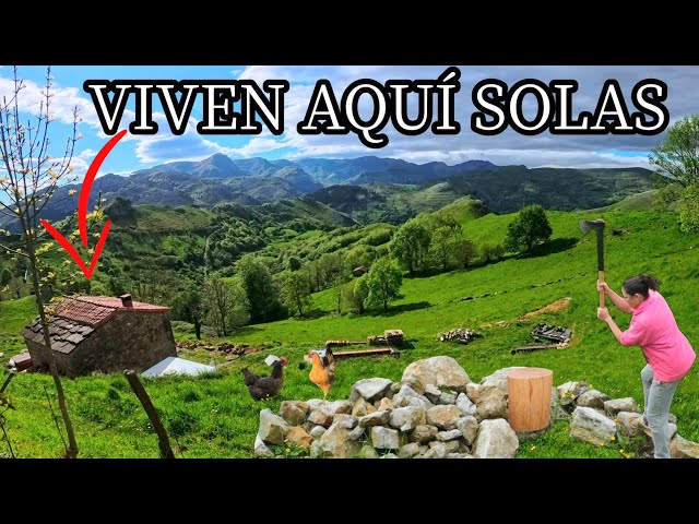LO DEJARON TODO para RESTAURAR UNA CABAÑA y VIVIR en el PARAISO con sus ANIMALES
