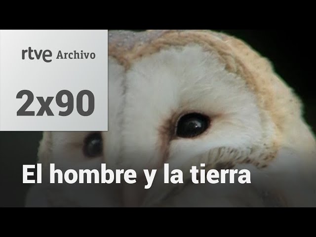 Man and the Earth: Chapter 106 - Night Birds of Prey I | RTVE Archive