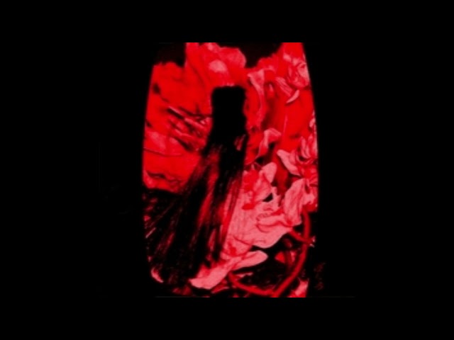 [ざくろ ] -45 — Distance' vector algorithm