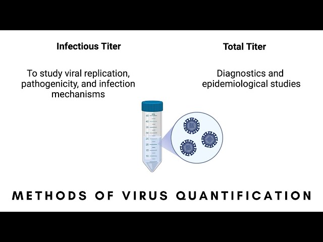 Virus Quantification: Infectious vs. Total Titers