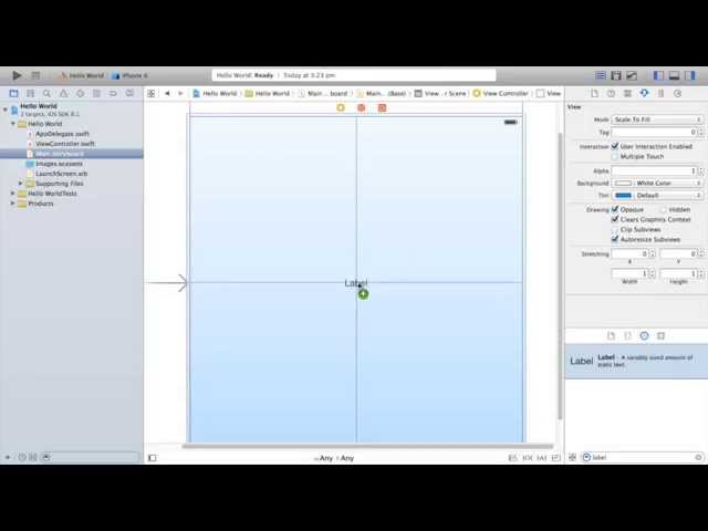Xcode 6 Tutorial: How to make your first "Hello World" App
