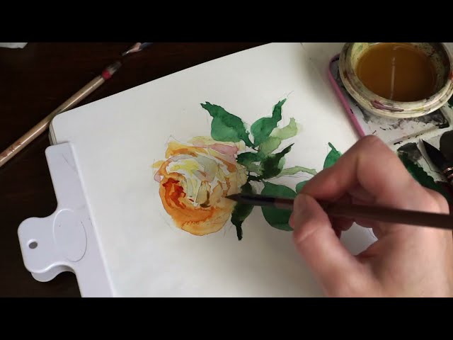 Art & Scripture -A Loose Watercolor Rose & Bible Proverbs Study For Wives