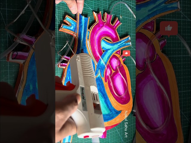 heart working model | science fair project 3D science working model using syringe #shortsfeed