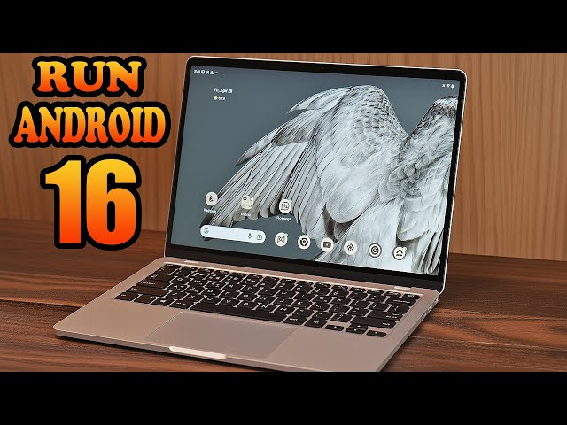 Run Android 16 with Google Play Store on Windows PC or Laptop Latest Update 2026