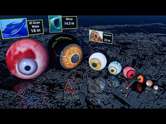 Monster Eye Size Comparison 👁️👹🔍 Juila Beast VS Sea Eater