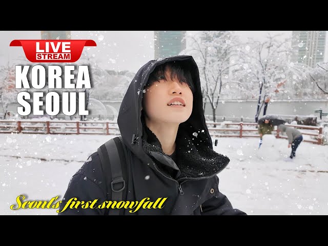 Live Seoul Korea 🇰🇷 Walk Tour Seoul ❄️ Snow Jamsil Street | Exciting Snowy Seoul Street Walking