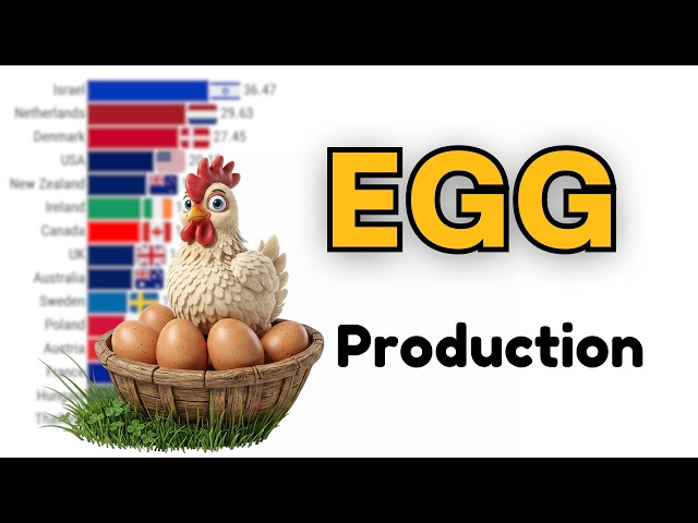 Top 15 Global Egg Production per Capita 1961 to 2026