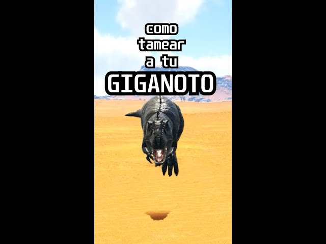 Como Tamear un GIGANOTOSAURUS 🦖 Ark Survival pronene4