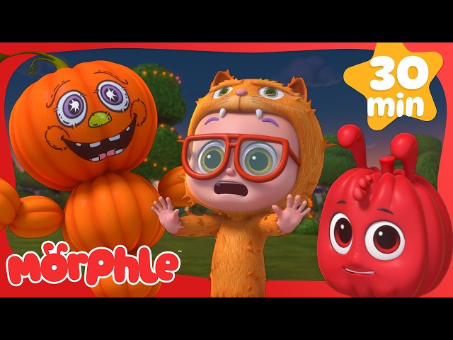 The Pumpkin Prince of Halloween🎃| Cartoons for Kids | Mila and Morphle