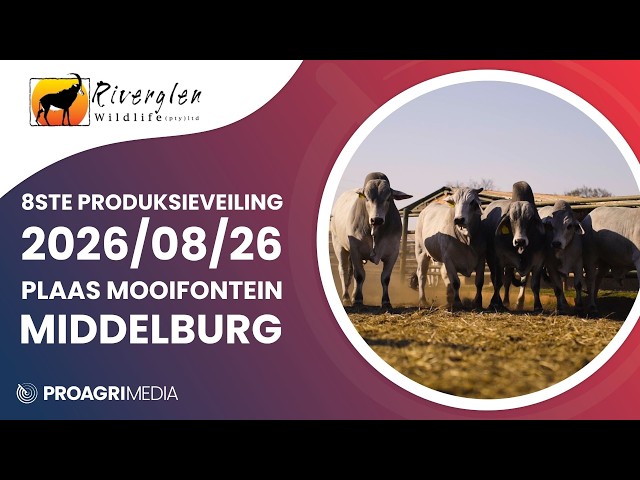 Riverglen Wildlife se 8ste Produksieveiling beloof topgehalte genetika!