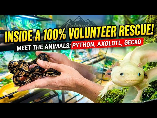 Reptile & Amphibian Center of the Rockies Tour Adopt Don't Shop