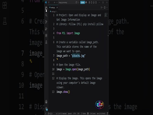 Open Any Image & Get Its Details in Python! 🖼️🐍 #python #pillow #imageprocessing #thedevsessions