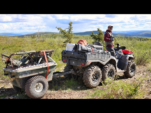 Black Bear Hunting Under Alaska's Midnight Sun