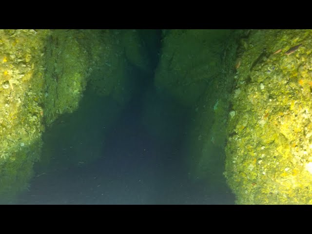 Taravana Cave (360 2D 8K) | Insta360 Pro 2 | Mantis Sub housing