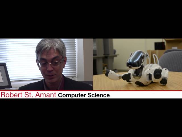 NCSU Libraries Fabulous Faculty Series: Rob St. Amant