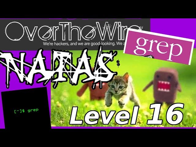 Python Web Hacking: Blind Grep & RCE | Natas: OverTheWire (Level 16)