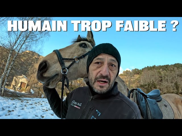 What if AI was right? What if humanity had reached its limit?